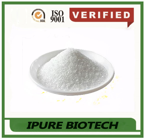 China manufacturer direct supply Sucralfate 54182-58-0