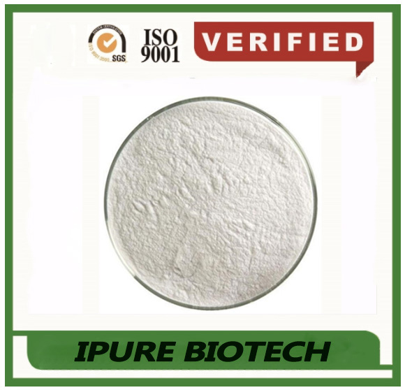 China Piracetam Manufacturer,API Piracetam Supplier